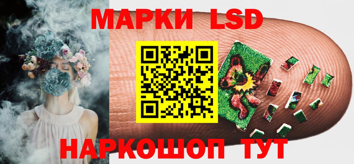 Камень-на-Оби  Марки NBOMe 1,5мг  где найти   Вход с VPN 