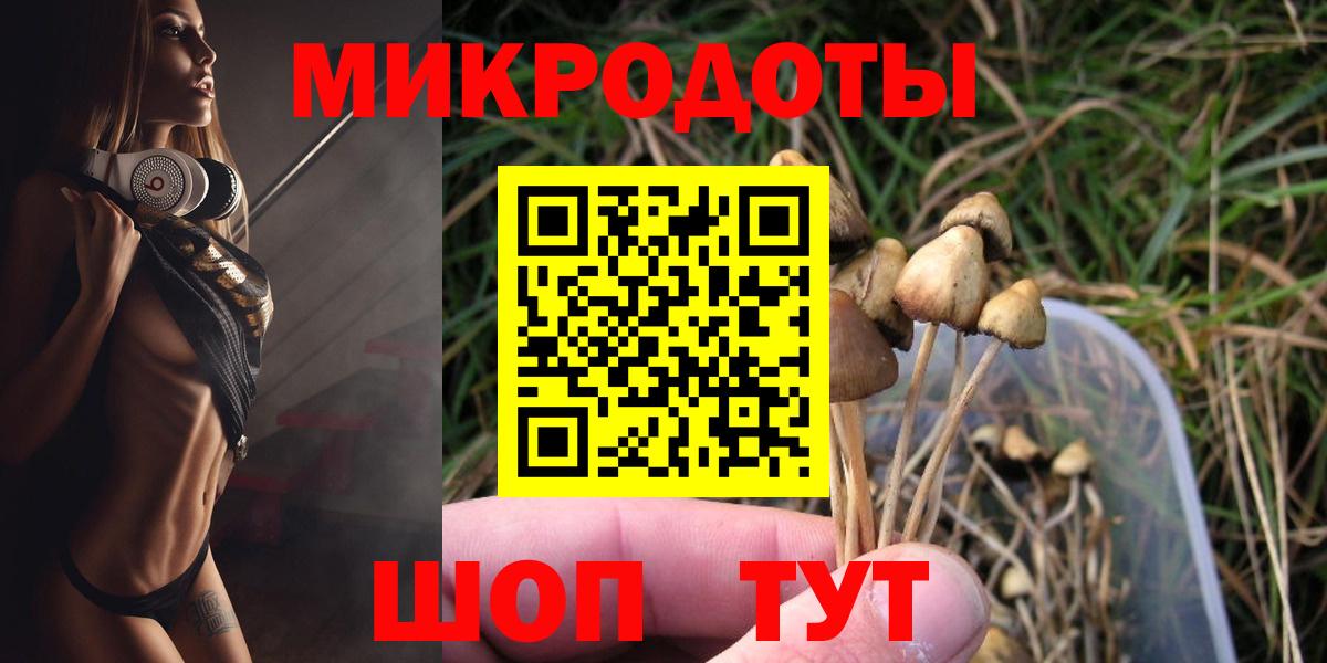 Псилоцибиновые грибы мухоморы  Псилоцибиновые грибы MAGIC MUSHROOMS  Вход с VPN  Камень-на-Оби 